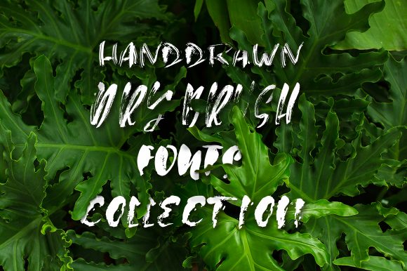 Exploring the Dry Brush Typeface for Modern Design